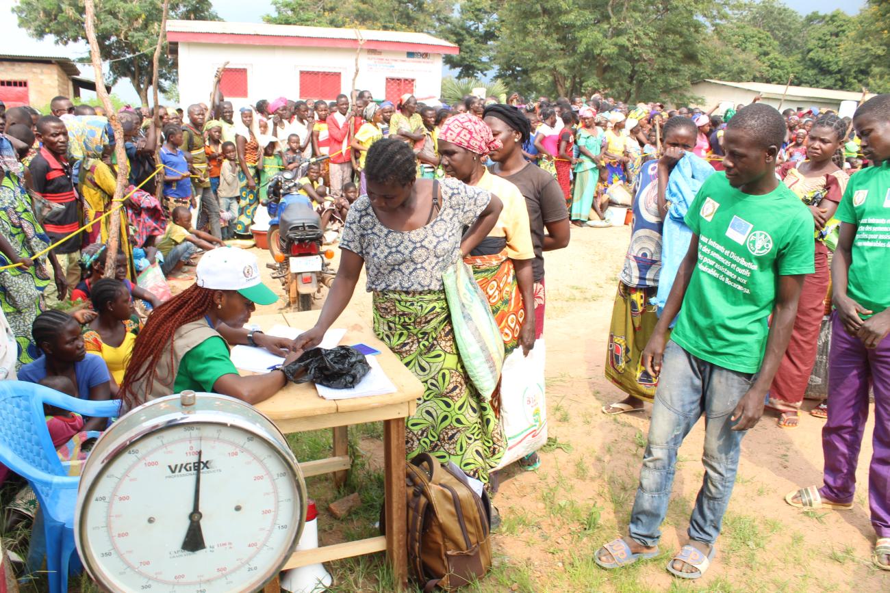 Distribution directe d’intrants agricoles par l’ONG FEGY à Bocaranga.