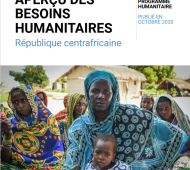 Aperçu des besoins humanitaires