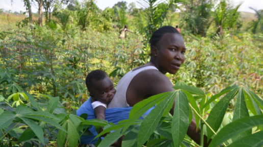 Ingrid Kinguila, dans son champ de manioc à Mongouma dans la Lobaye 