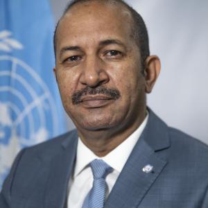 Représentant spécial adjoint, Coordonnateur résident du système des Nations Unies et Coordonnateur humanitaire